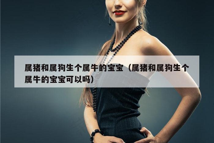 属猪和属狗生个属牛的宝宝(属猪和属狗生个属牛的宝宝可以吗)